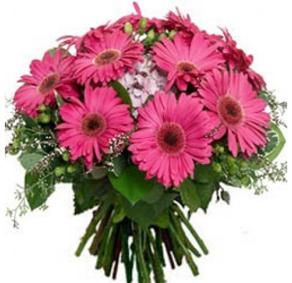 Bunch of Pink Gerberas